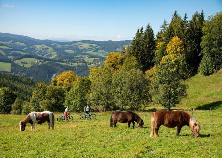 Gasthof & Restaurant zur Krone